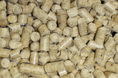 Tweedmouth biomass boiler costs